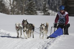 Kandersteg 2013